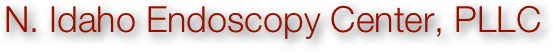  N. Idaho Endoscopy Center, PLLC